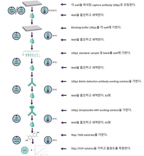 ELISA 실험 - 겨울애상