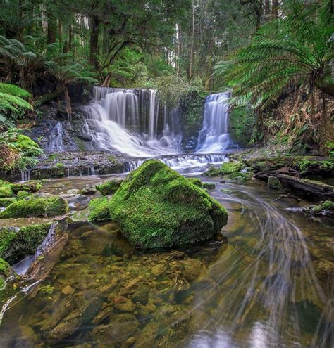 Mount Field National Park by Ahmad Alswailem on 500px | National parks, Park, National