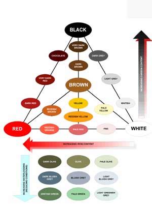 Practical Note: Soil Colour | VRO | Agriculture Victoria