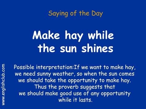 Saying: Make hay while the sun shines | Idioms and phrases, English ...