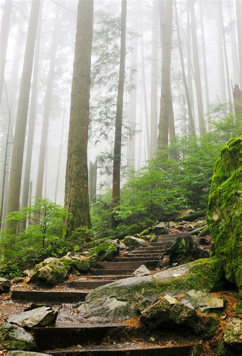 Discovering the Trans Canada Trail, the World’s Longest Recreational Trail — Daily Passport