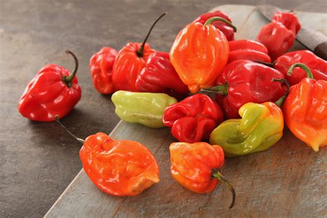 Scotch Bonnet Pepper | Local Hot Pepper From Jamaica, Caribbean