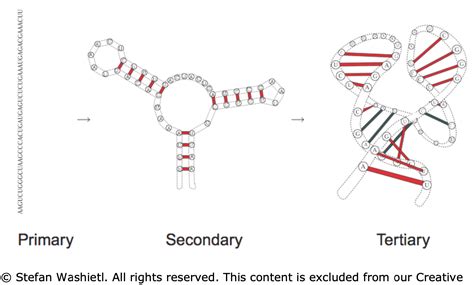 1.3. omics