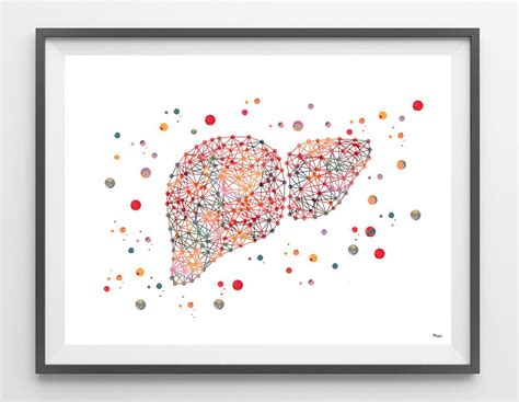 The Liver watercolor print the human liver poster medical art anatomy art liver illustration ...