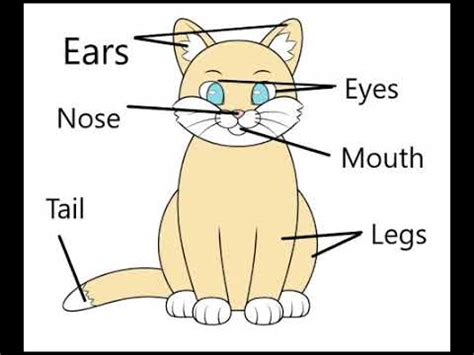 Example for the activity "Draw your favourite animal and label the parts of its body". - YouTube