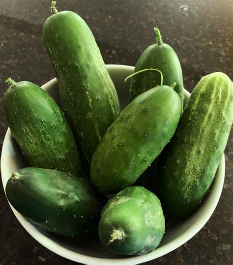 Spicy Fried Cucumbers - Vegan and Almost Oil-Free - Believeinvegan.com