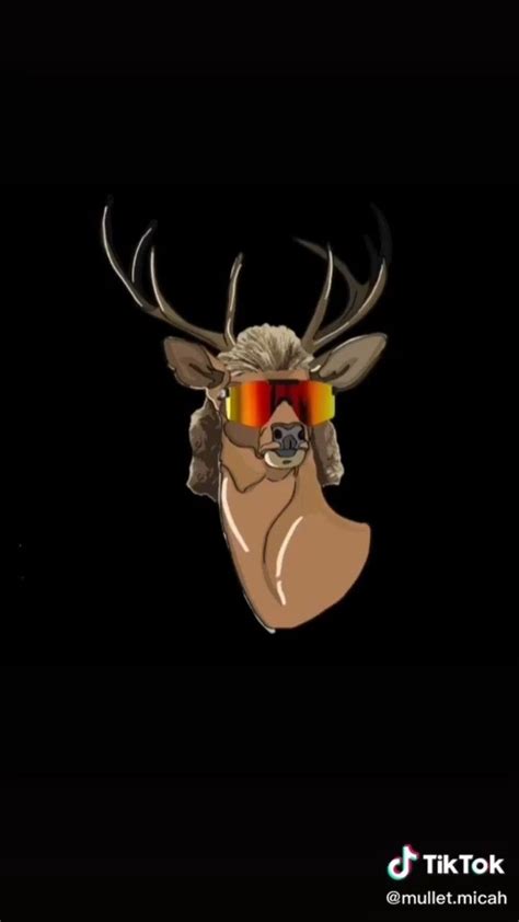 Deer Mullet Army Wallpaper ~ 48 Huntin Stuff Ideas In 2021 | goawall