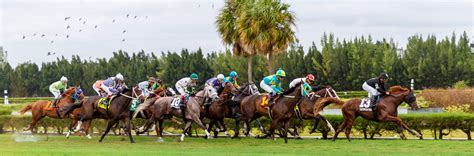 PEGASUS-RACING-IMG_4832-2 - Digest Miami: Miami's best restaurants ...