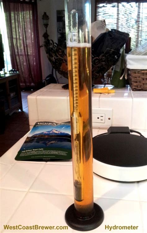 Specific Gravity - Homebrewing - Home Brewers Blog