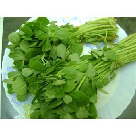 Fresh Fenugreek Leaves at Rs 40/kilogram | Fenugreek Leaf in Mumbai | ID: 17543854512