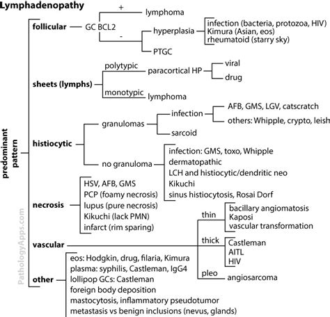 lymph node pathology