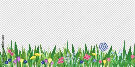 Spring garden grass and flowers border. Cartoon vector flower ...