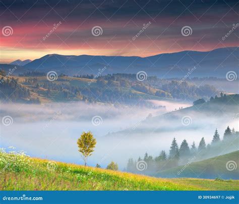 Summer Sunrise in the Mountains Stock Image - Image of floral, evening: 30934697