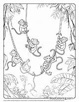 100  Monkey coloring Pages Free PDF To Print Woo Coloring sketch template