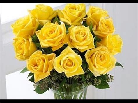 Yellow Rose Arrangements - YouTube