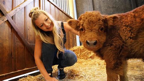 Discovering Micro Mini Highland Cows: A Farm Adventure