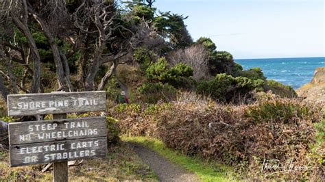 Mendocino Coast Botanical Gardens: rhododendrons, ocean views, whales ...