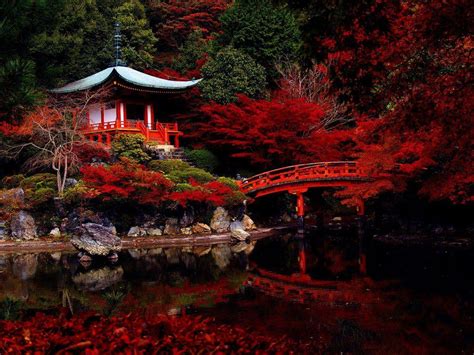 Beautiful Kyoto-Japan. | Most beautiful places, Beautiful places in the ...