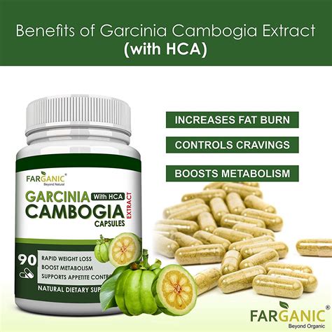 Farganic Garcinia Cambogia Extract Capsule with HCA for Weight Loss Management Supplement 60 ...