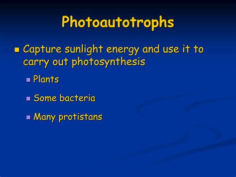 PPT - Photosynthesis PowerPoint Presentation, free download - ID:142902