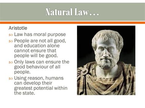 Lex Naturalis: A History of 'Natural Law' Philosophy - Brewminate: A ...