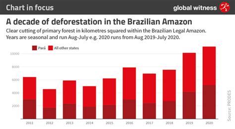 Major global banks complicit in widespread destruction of the Amazon ...