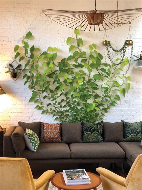 DIY These Vertical Vines for a Living Wall-Type Look | Plant decor ...