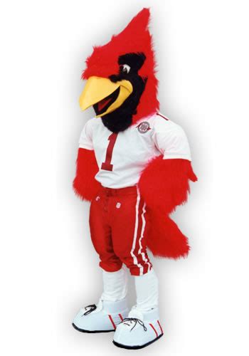 Arizona_Cardinals - Mascots