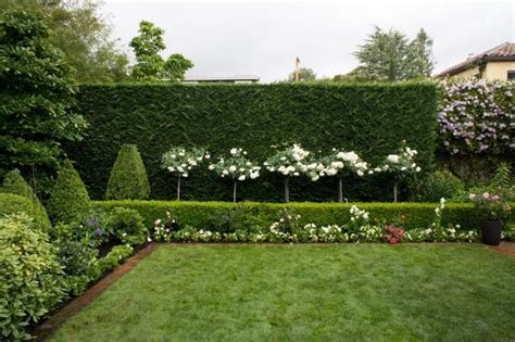 63 of The Best Landscape Hedge Ideas | Hedges landscaping, Garden hedges, Lawn and landscape