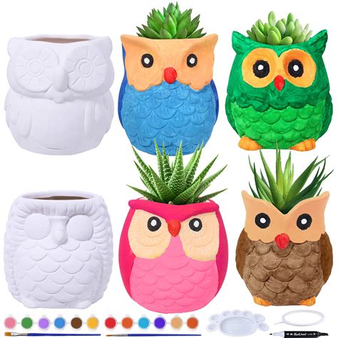 Buy 6 Sets DIY Ceramic Owl Succulent Pots Figurines Paint Craft Kit ...