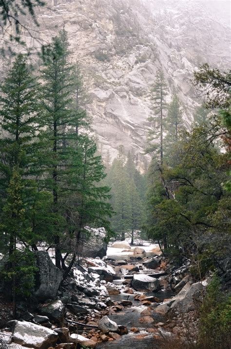 winter in yosemite national park -Life on Pine