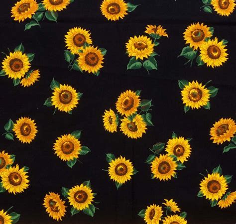 Pin by Pean Yosores on Sunflower | Sunflower wallpaper, Sunflower print, Sunflower pictures