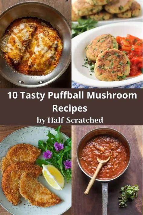 10 Tasty Puffball Mushroom Recipes - Half-Scratched Steak And Mushrooms, Edible Mushrooms, Wild ...