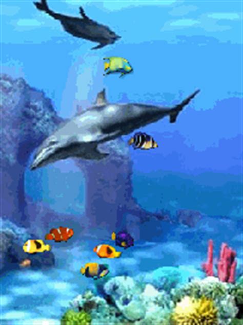 Aquarium GIF - Find & Share on GIPHY