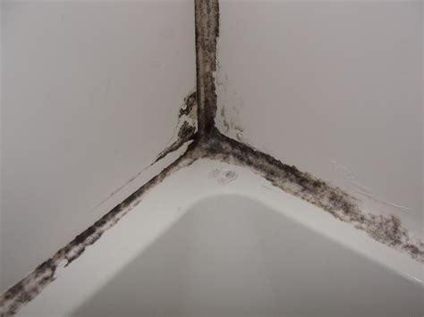 Moldy shower caulk... fixed! - Structure Tech Home Inspections