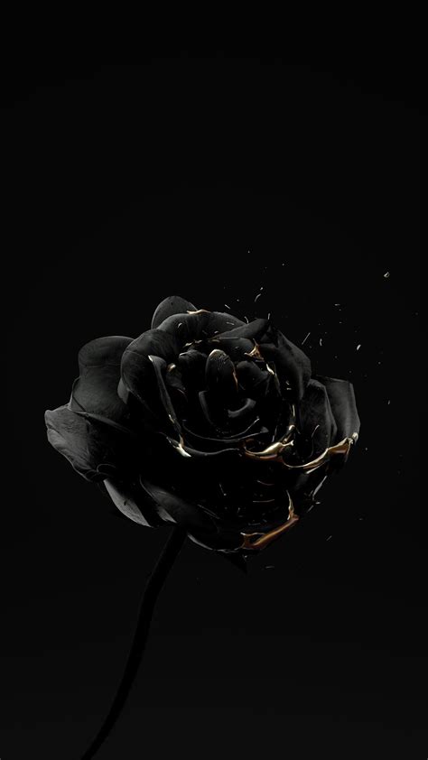 Black Aesthetic Wallpaper Pinterest Black Cute Wallpapers - bmp-extra