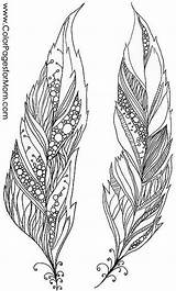 feathers coloring Page 24 Feather Drawing Art Wood Burning  sketch template