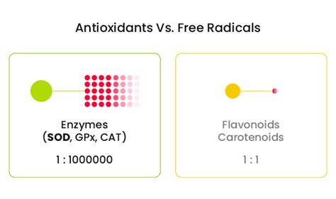 Superoxide Dismutase - The most powerful natural antioxidant