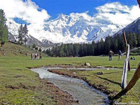 The land of fairies,Fairy meadows Pakistan - Fairy Meadows, Northern Areas | Travel dreams ...