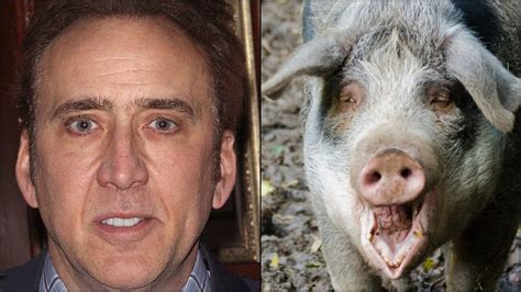 Last Call: It's a Fun Fact Friday starring a horny pig and Nicolas Cage