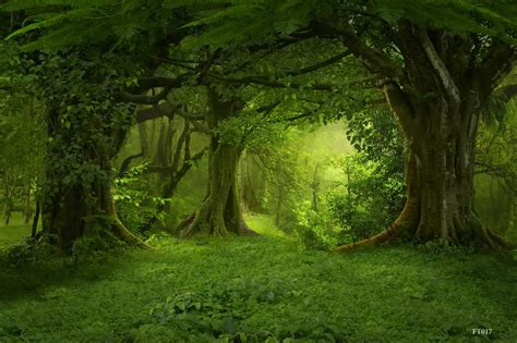 LIFE MAGIC BOX Photography Backdrops Fairy Tale Forest Photo Background ...