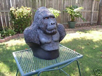 LOWLAND MOUNTAIN SILVERBACK GORILLA -SKULL- TAXIDERMY | #31471160