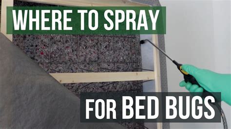 Where to Spray for Bed Bugs: Bed Bug Control - YouTube