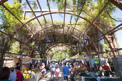 Vineyard Farmers Market in Fresno | California Through My Lens