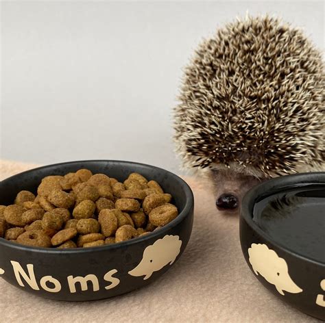 Ceramic Hedgehog Food and Water Bowls. Noms and Slurp Bowls. - Etsy UK