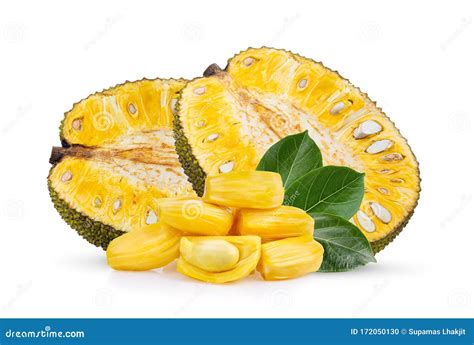 Jackfruit with Leaf Isolated on White Stock Photo - Image of tree ...