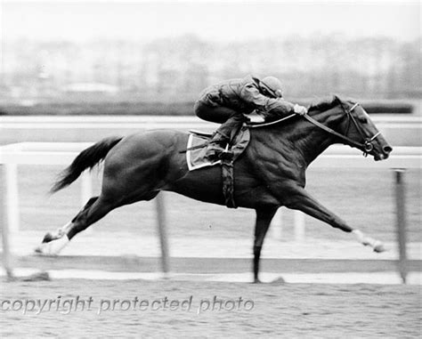 The World of Horses: Secretariat