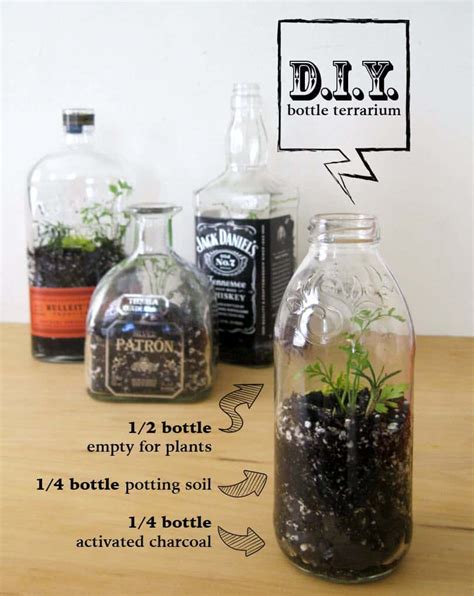 Diy: Bottle Terrarium • Recyclart