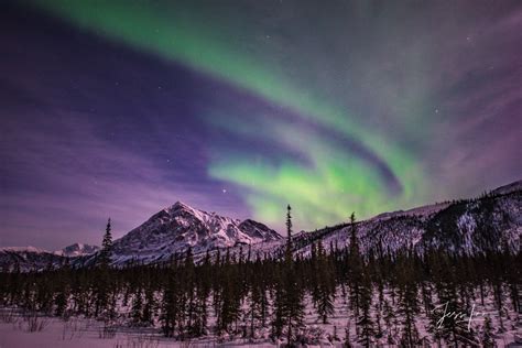 Aurora Photography Workshop - Arctic Circle Alaska. | Photos by Jess Lee