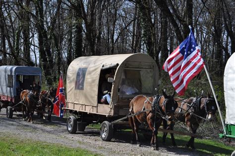 Mule Train in Elkmont - Visit Athens Alabama